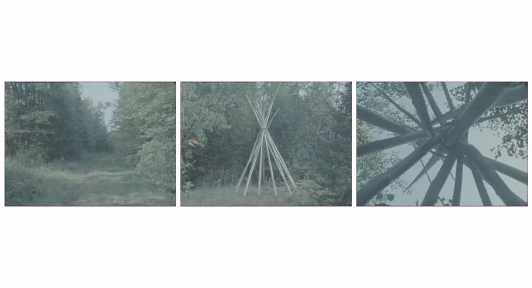 3 faded images of nature