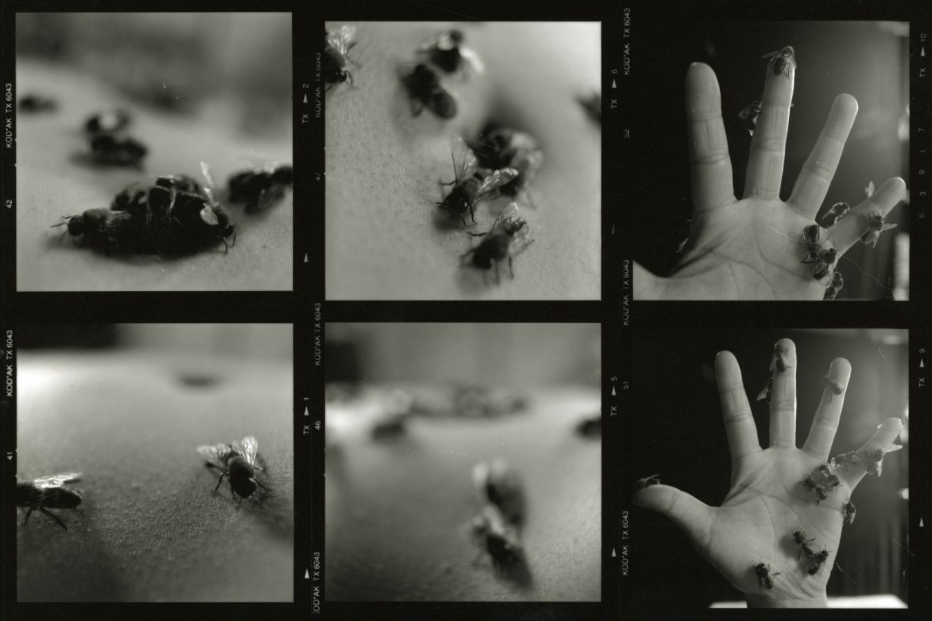 Video still of Miya Masaoka. Adventures of the Solitary Bee, video work, 2000